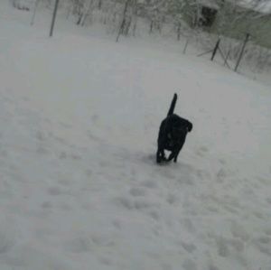 Meet your Posher, Melba